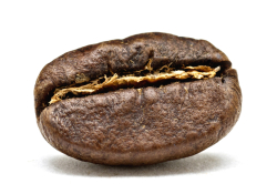 Kawa